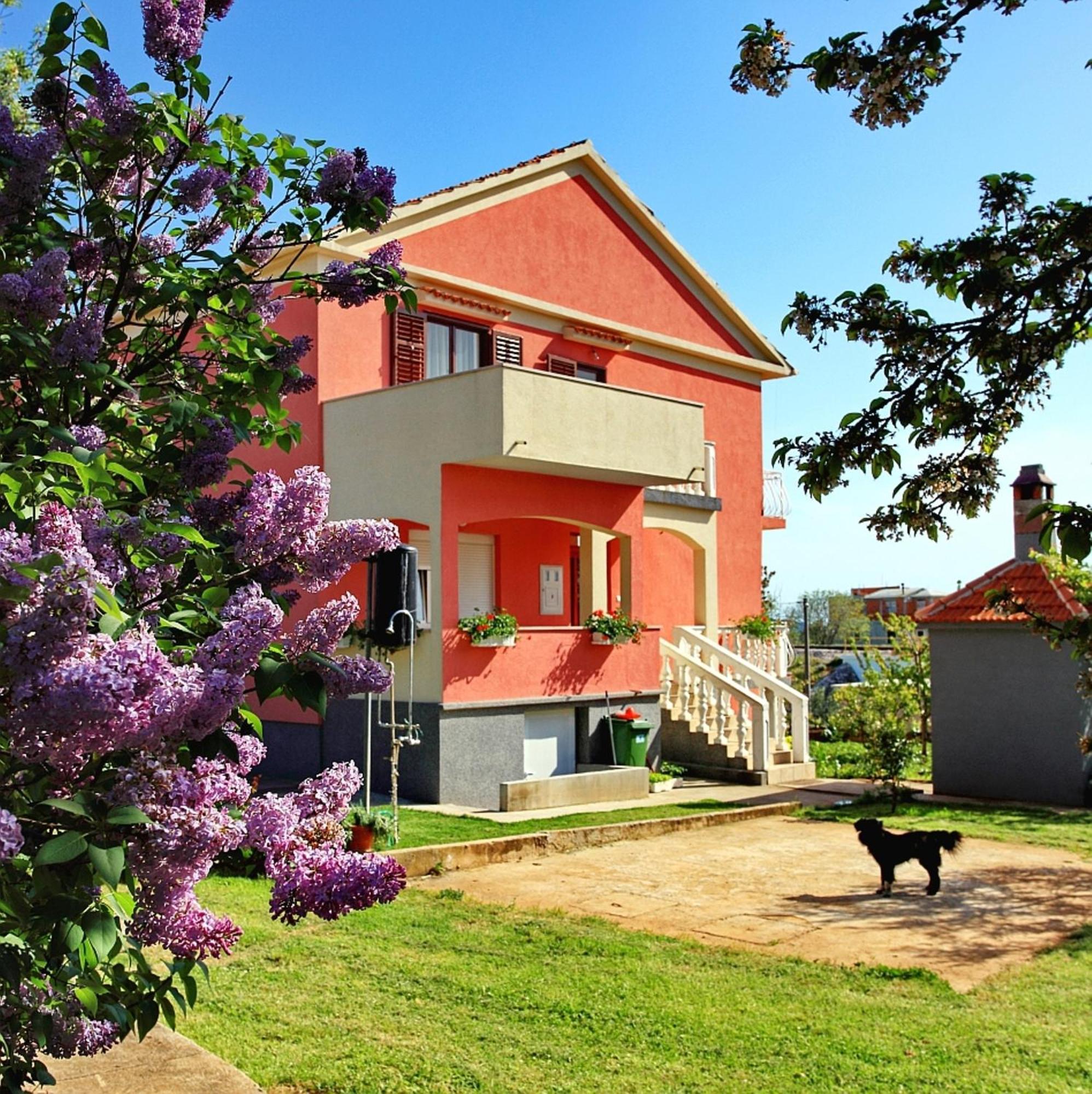 Apartments Soric Bibinje Exterior photo